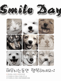 [240x320][176x220] 含其他格式 動態桌布主題 