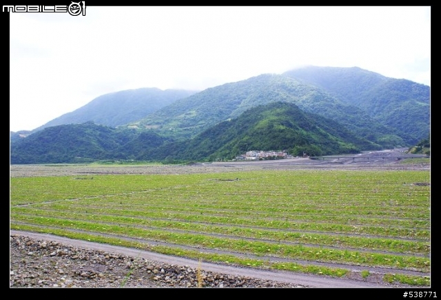 20090711 一日雙北 20090725 再次雙北 ~~圖極多
