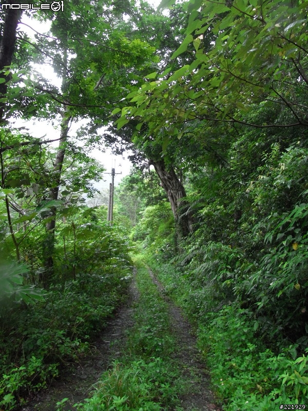 輕度OFFROAD-知本樂山產業道路