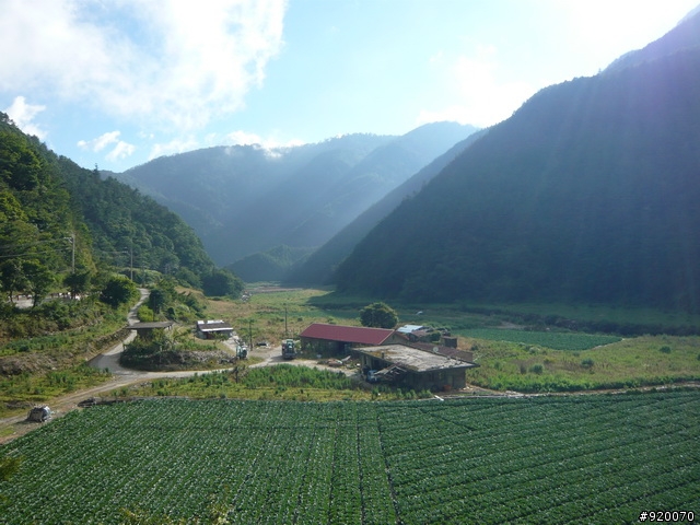 雙橫一豎兩日遊(加碼合歡山主峰)