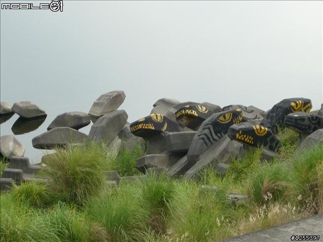 河濱、緣野、恬靜的「大鶯綠野景觀自行車道」89K記實