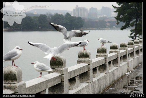 福岡--大濠公園 (おおほりこうえん)