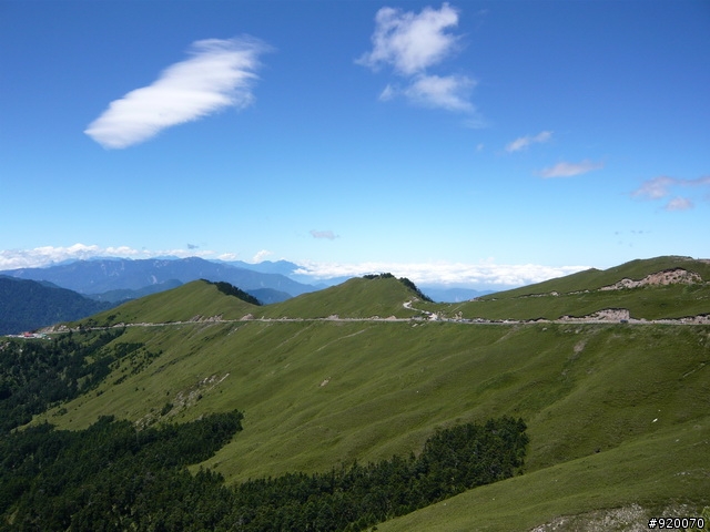 雙橫一豎兩日遊(加碼合歡山主峰)