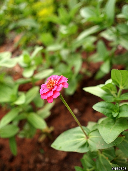 今天我也E-P1了~那你呢?(更換背帶分享)