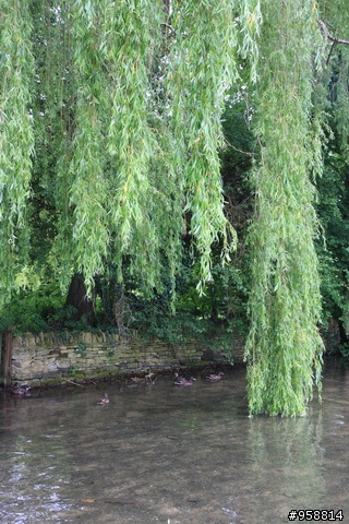 [分享]騎著單車陶醉在英國浪漫小鎮:Bourton-on-the-water