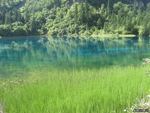 四川九寨溝的導遊