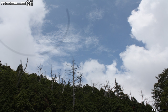 canon 1000d上太平山 拍出了怪異光環...