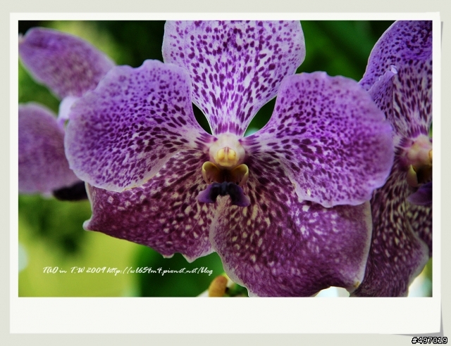 新竹北埔綠世界