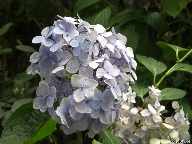 [分享]小童遊記(三)雙北一日行.終於如願以償