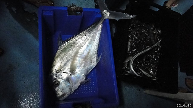 陽光、沙灘、海浪、仙人掌，走！讓我們到菊島去～