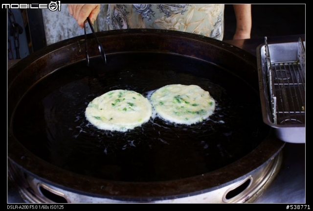 20090711 一日雙北 20090725 再次雙北 ~~圖極多