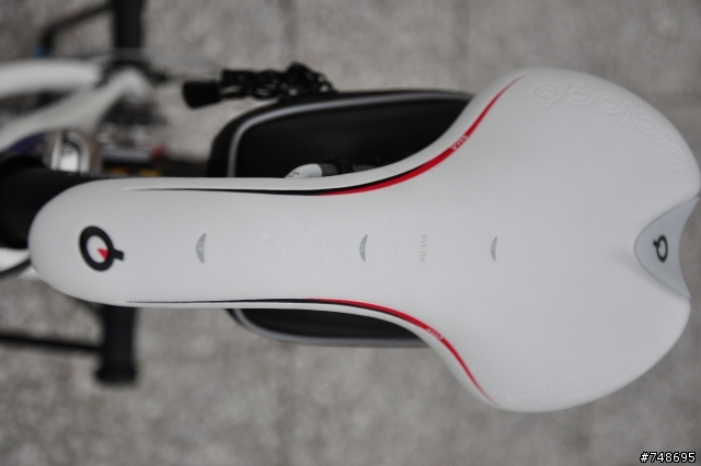 AXMAN R5車隊版 公路車