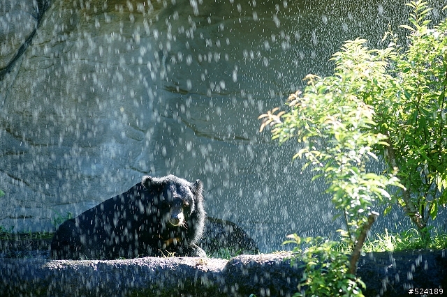 [攻略]台北動物園漫遊路線＆拍照心得