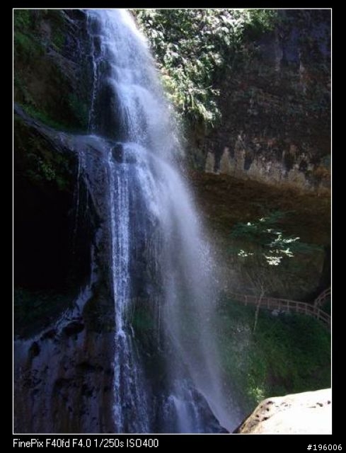 7/11.12杉林溪二日遊(圖片很多)