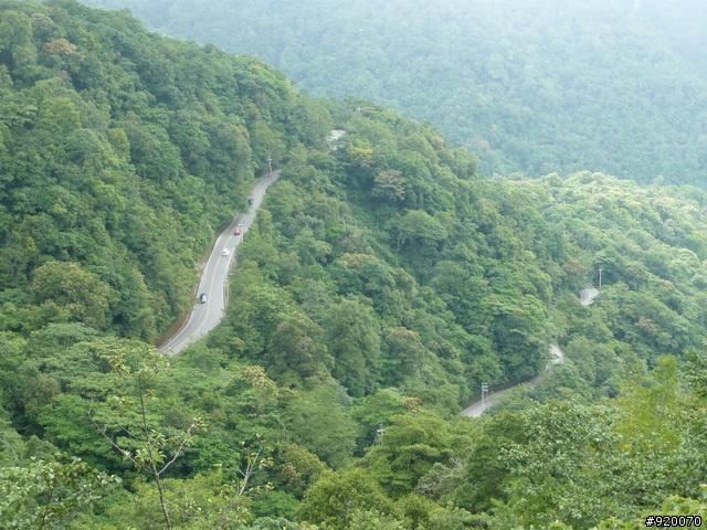 雙橫一豎兩日遊(加碼合歡山主峰)