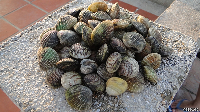 陽光、沙灘、海浪、仙人掌，走！讓我們到菊島去～