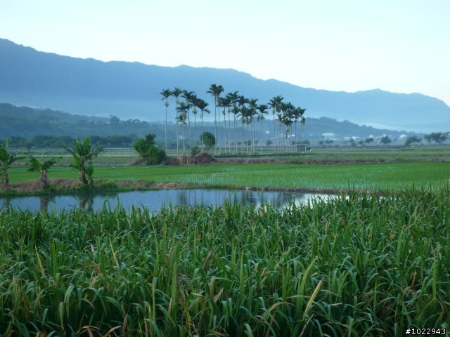 六十石山,池上,高台,我來了...