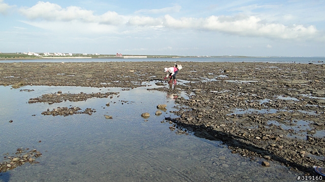 陽光、沙灘、海浪、仙人掌，走！讓我們到菊島去～