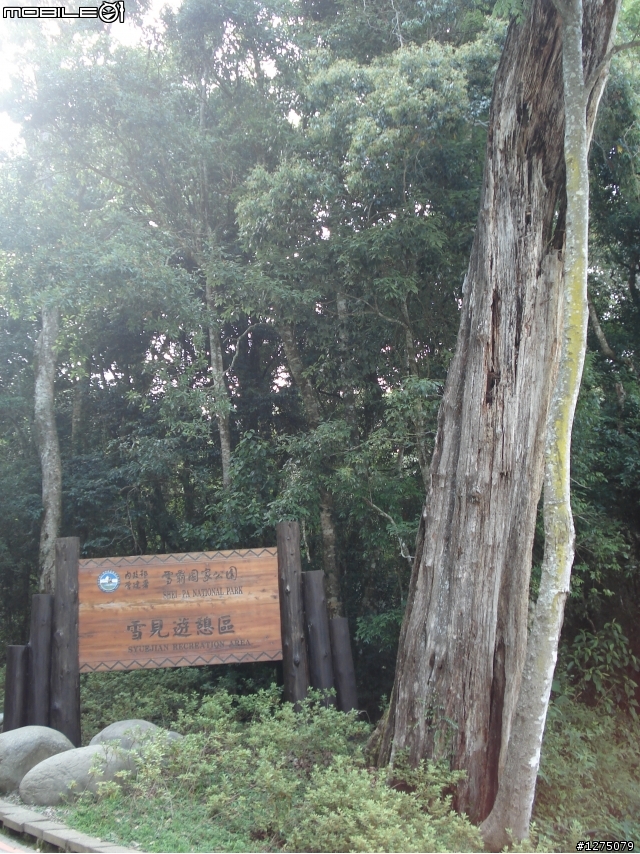 【遊記】20090711雪霸國家公園之雪見遊憩區照片分享