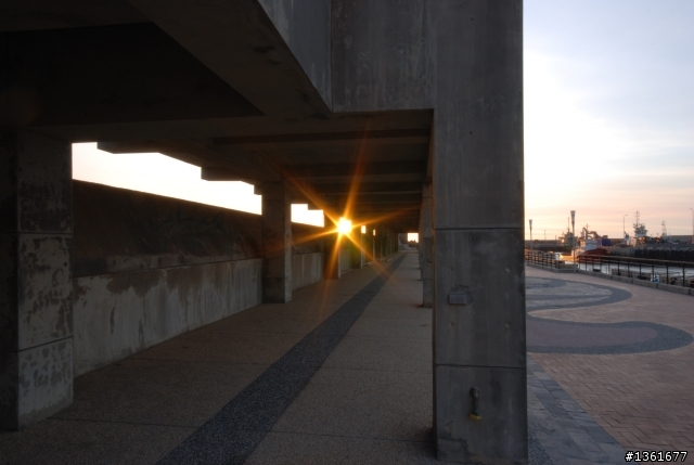 D40X+SIGMA 10 20MM