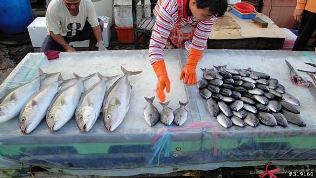 陽光、沙灘、海浪、仙人掌，走！讓我們到菊島去～