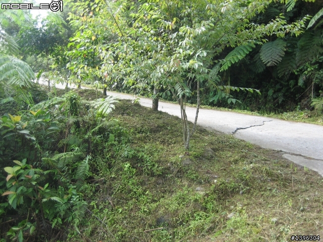 花蓮縣吉安鄉白雲步道之一貫道場終極挑戰