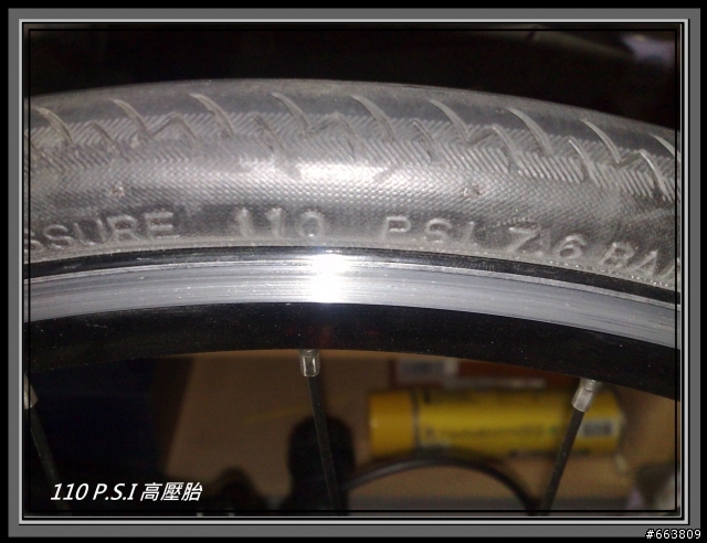 我的 新坐騎 SPINBURN minivelo R1