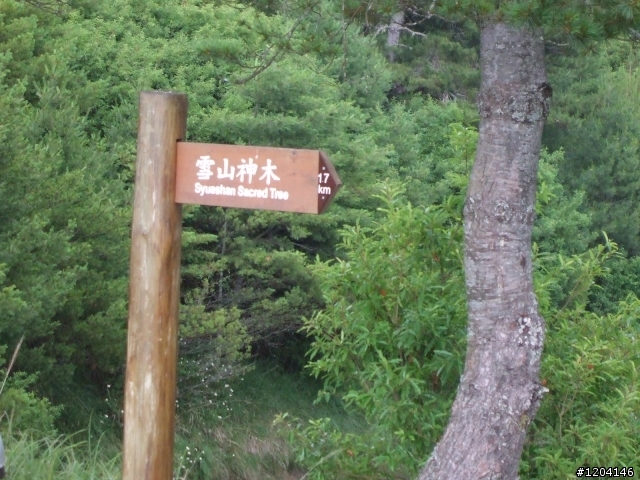 98/7/12  一群瘋子登上大雪山加碼在加碼...(老天送給我的禮物..驚奇..讚嘆...與感謝)