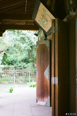 FM2 + Fuji Reala 100 & Proplus 100 分享!!!