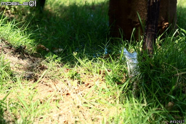 [Canon]客製化Picture Style風格檔 大亂鬥 - "老木fun水"篇