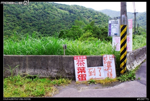 20090711 一日雙北 20090725 再次雙北 ~~圖極多