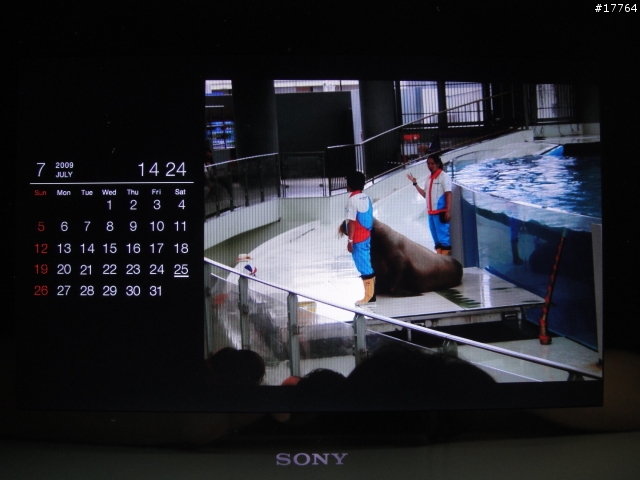 『美好回憶 完美呈現』SONY S-Frame DPF-X1000/B