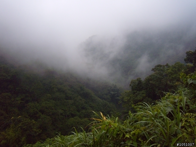 2009-07-07 山區亂逛~探路去...不...是淋雨去~~