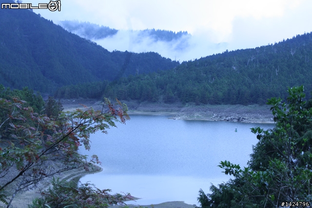 canon 1000d上太平山 拍出了怪異光環...