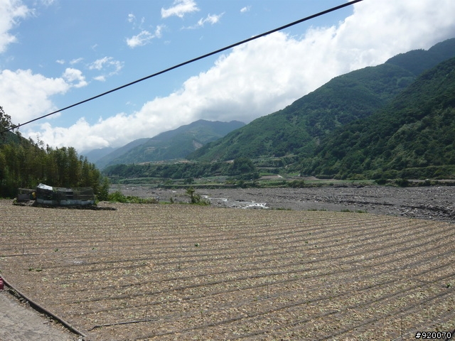 雙橫一豎兩日遊(加碼合歡山主峰)