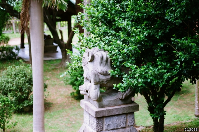 FM2 + Fuji Reala 100 & Proplus 100 分享!!!