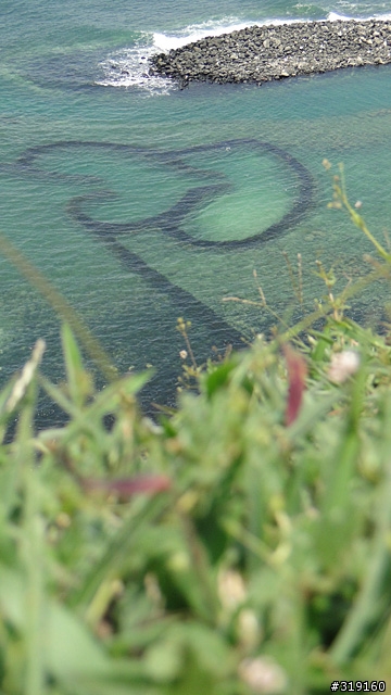 陽光、沙灘、海浪、仙人掌，走！讓我們到菊島去～