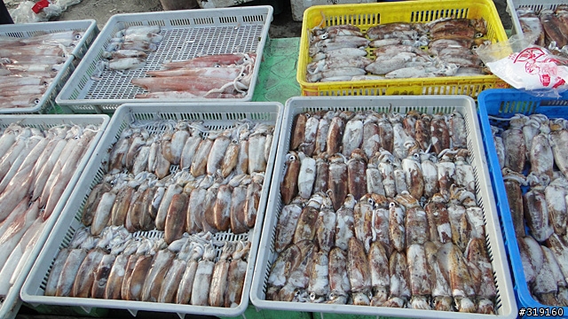 陽光、沙灘、海浪、仙人掌，走！讓我們到菊島去～