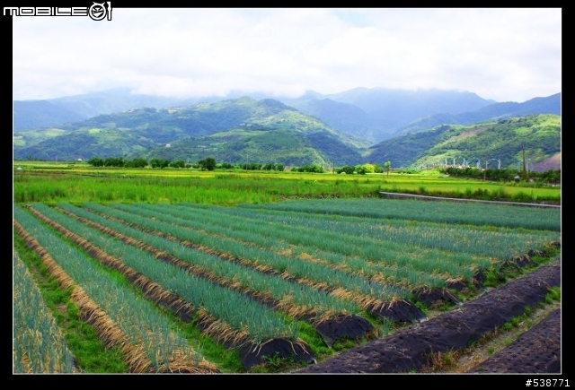20090711 一日雙北 20090725 再次雙北 ~~圖極多