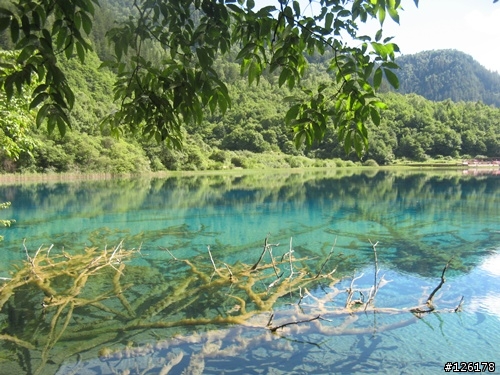 四川九寨溝的導遊