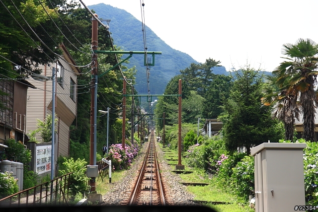 我的第一次單眼旅拍-東京.迪士尼