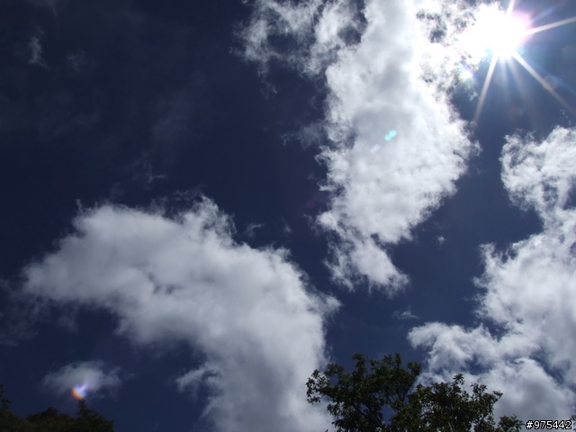 武嶺一日遊相片很多