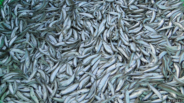 陽光、沙灘、海浪、仙人掌，走！讓我們到菊島去～