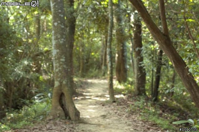［分享］霧峰一線天樟樹林步道與北坑溪步道~