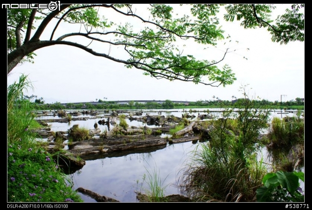 20090711 一日雙北 20090725 再次雙北 ~~圖極多