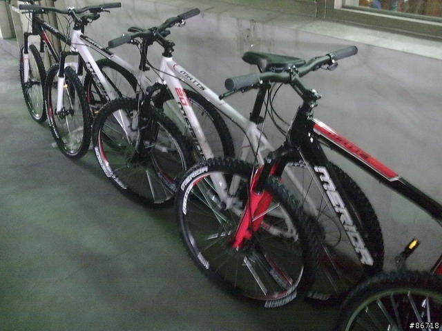 偶遇的腳踏車工廠