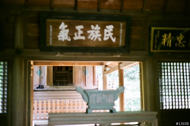 FM2 + Fuji Reala 100 & Proplus 100 分享!!!