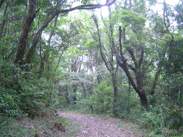 浸水營古道單車越嶺分享