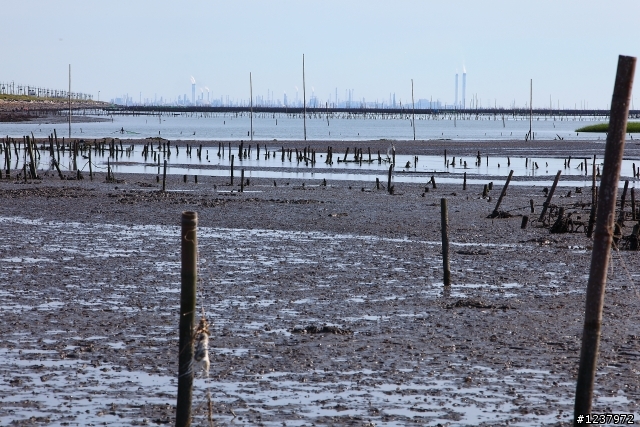 一個人文薈萃的攝影園地(福興鄉曬麵線)