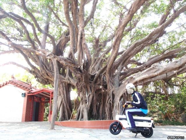 騎著 HONDA MOTOCOMPO 環遊台灣之旅!圖多更新到第七天行程...後續遊記陸續寫出